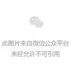 今年会思索画质平衡的干活镜头能够看看这几支！(图1)