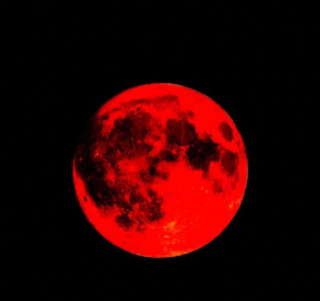今年会首页“血月之夜”照相争相斗艳批评区出各类现眼包此中一张最离谱(图1)