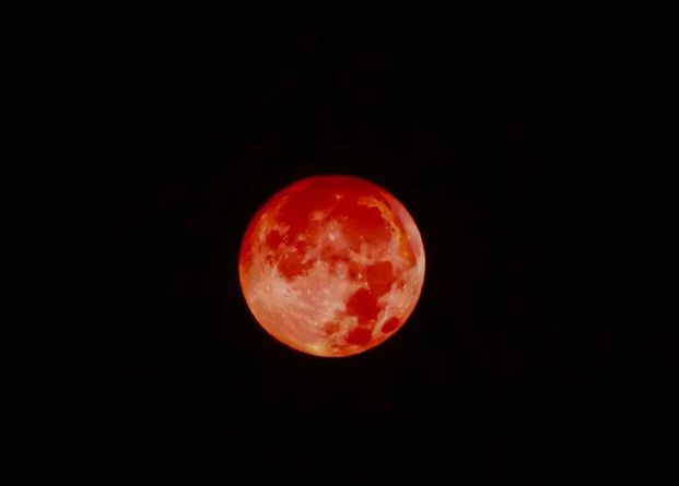 今年会首页“血月之夜”照相争相斗艳批评区出各类现眼包此中一张最离谱(图4)