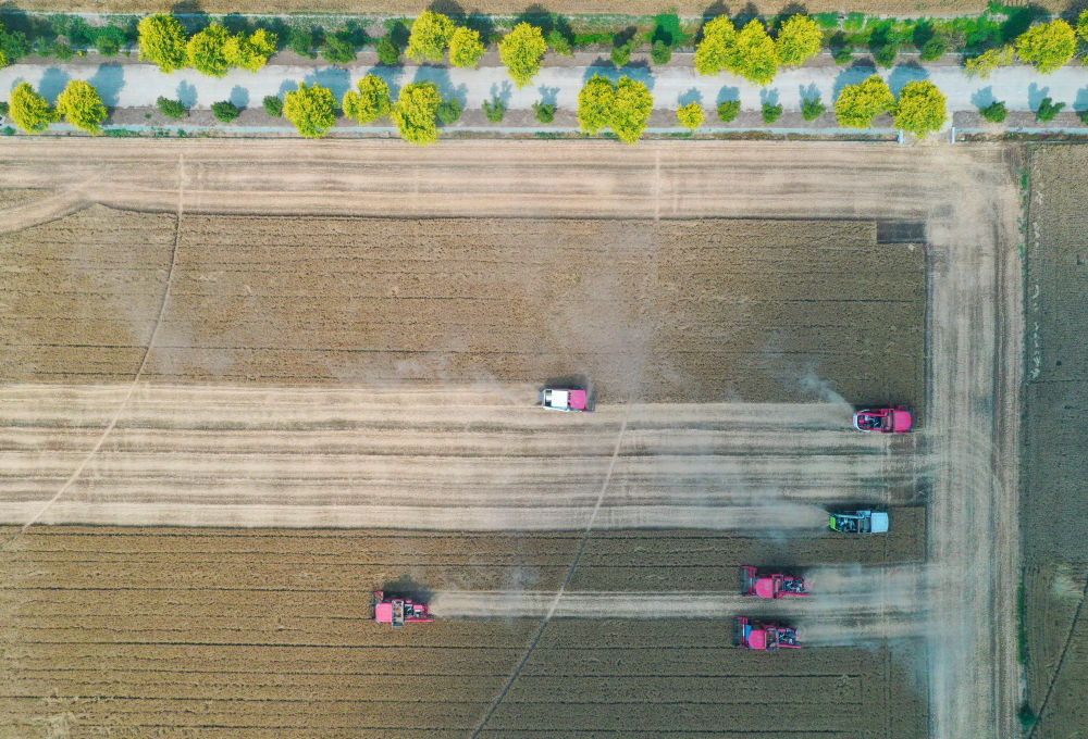 今年会首页“三夏”消费一线察看｜田间好“丰”景 夏收合理时(图6)