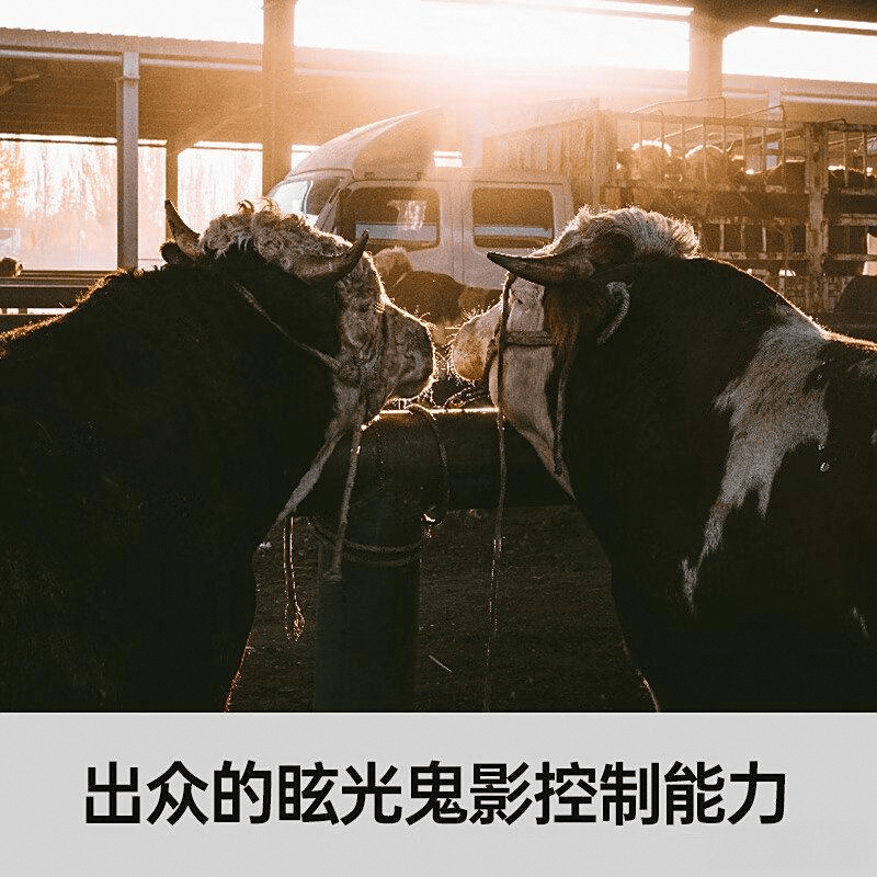 今年会首页佳能镜头性价比高的保举！保举十个不错的拍照东西！(图2)
